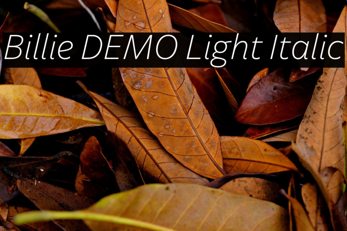 Billie DEMO Light Italic Example 3