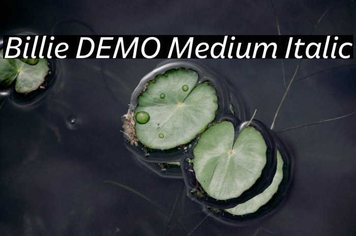 Billie DEMO Medium Italic Example 2