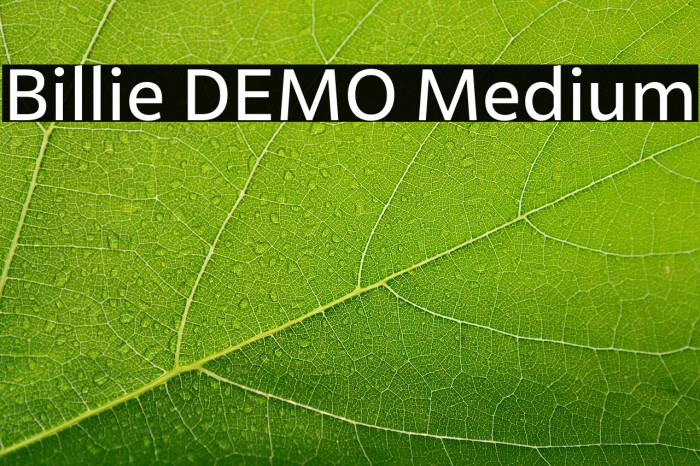 Billie DEMO Medium Example 1