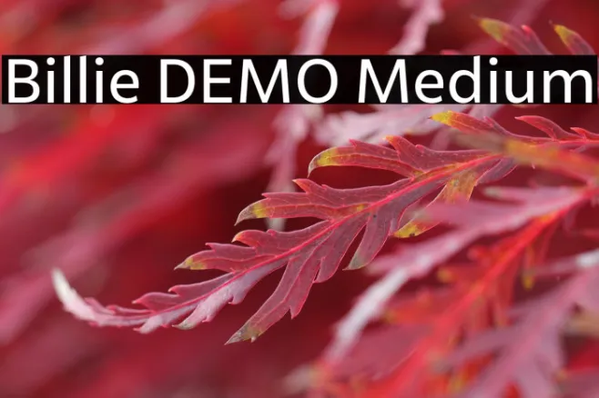 Billie DEMO Medium Example 3
