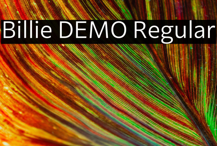 Billie DEMO Regular Example 3