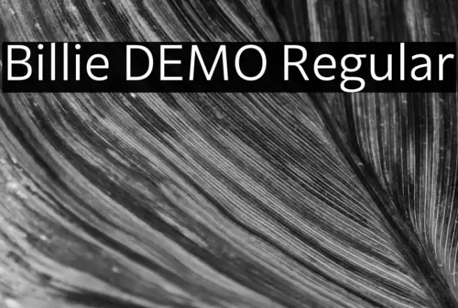 Billie DEMO Regular Font examples