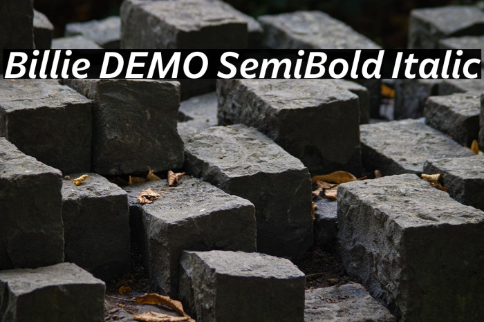 Billie DEMO SemiBold Italic Example 1