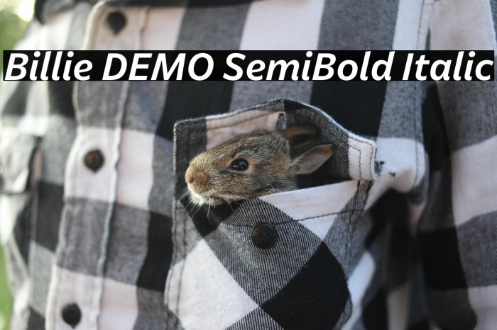 Billie DEMO SemiBold Italic Example 3
