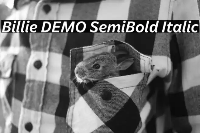 Billie DEMO SemiBold Italic Font examples