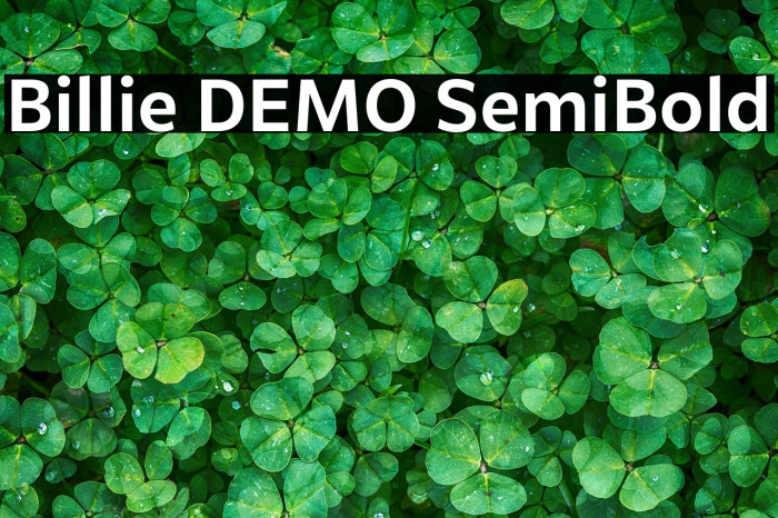 Billie DEMO SemiBold Example 3