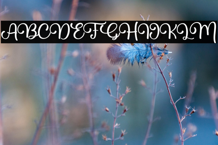 Billie Family Example 2