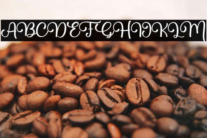 Billie Family Example 3