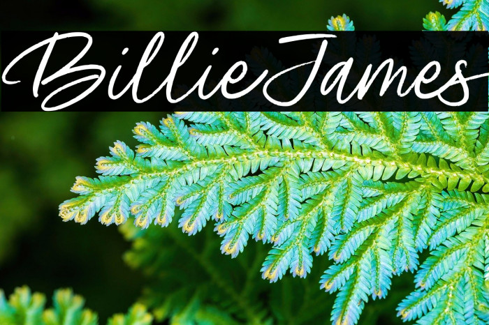 Billie James Example 3