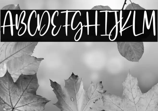 Billie Kimber Font examples