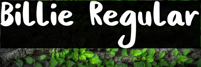 Billie Regular Example 3