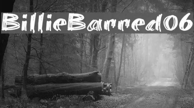 BillieBarred06 Font examples