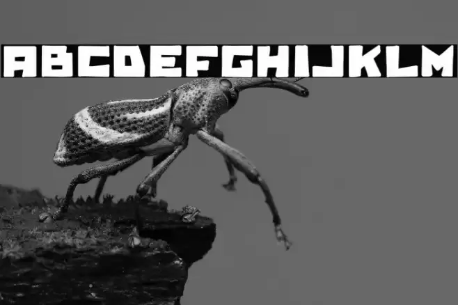 BillieBob Font examples