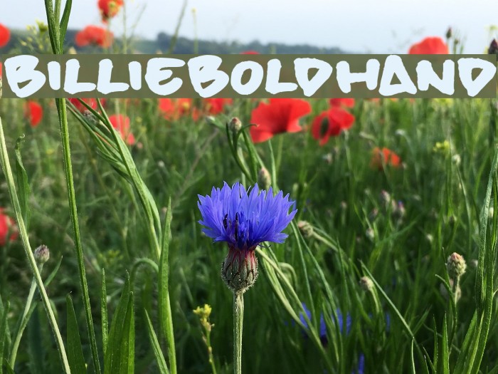 BillieBoldHand Font examples