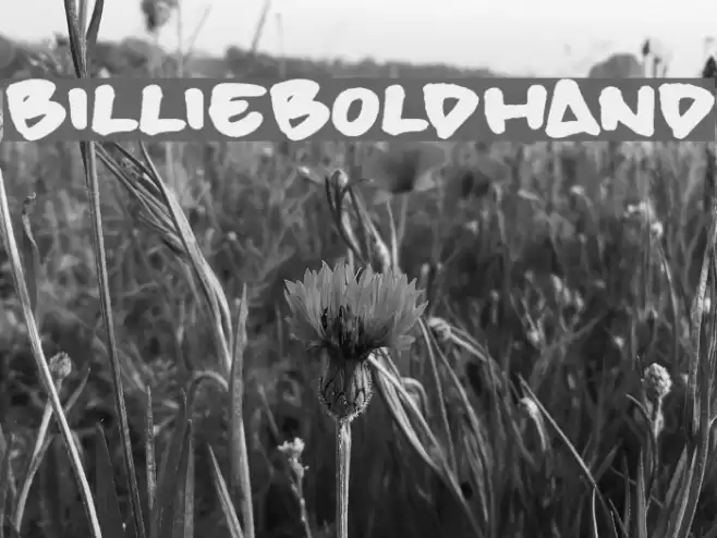BillieBoldHand Font examples