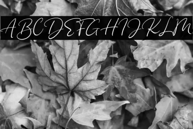 Billies Island Font examples