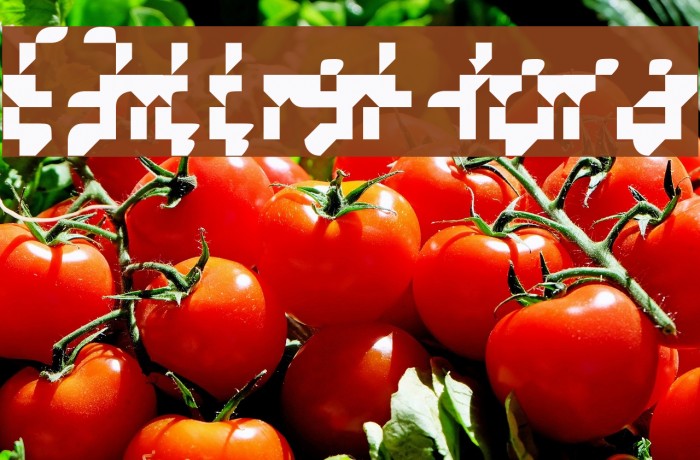 BilligHora Font examples