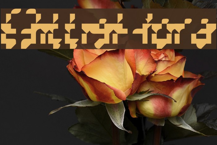 BilligHora Font examples