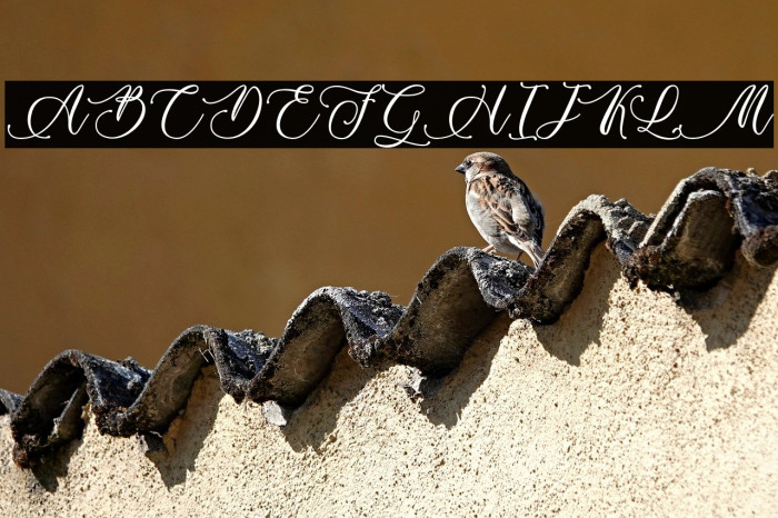 Billion Calligraphy - Personal Use Example 3