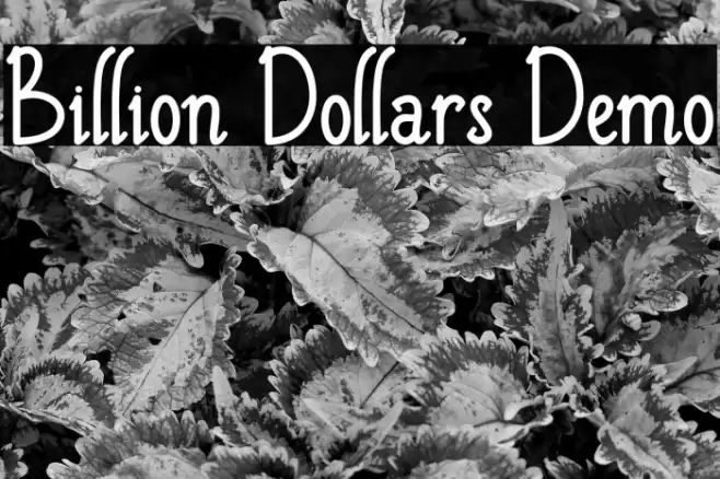 Billion Dollars Demo Font examples