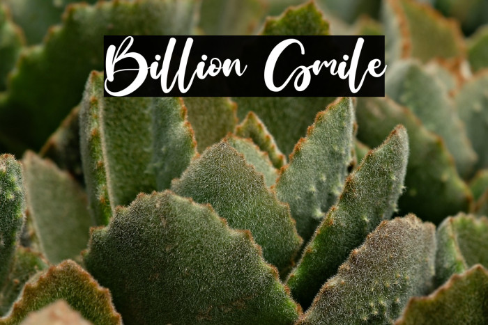 Billion Smile Example 3