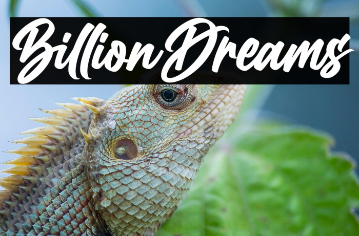 BillionDreams Example 2