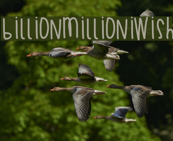 BillionMillionIWish Font examples
