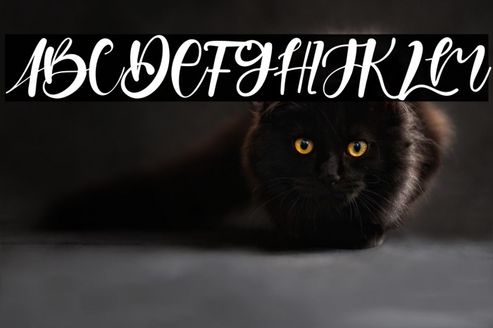 BillionSmile Example 1