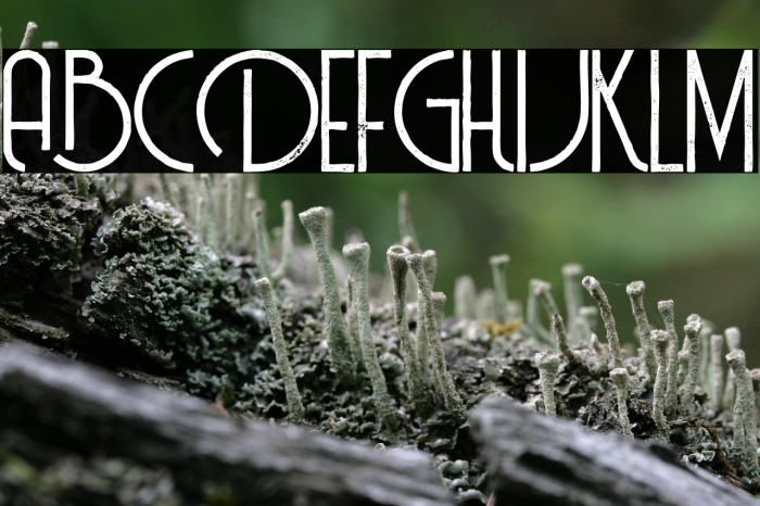 Billionaire Medium Grunge Example 1