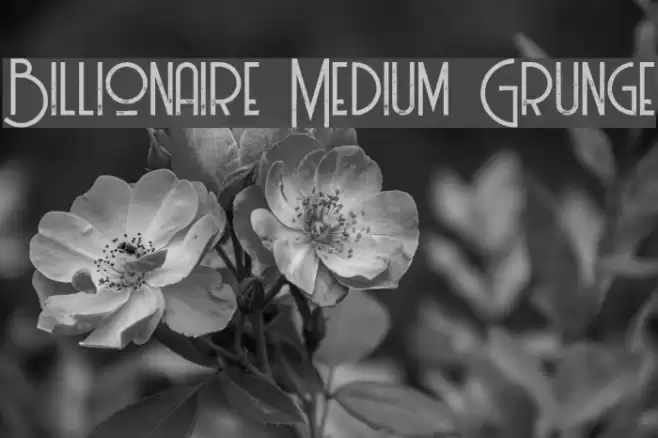 Billionaire Medium Grunge Font examples