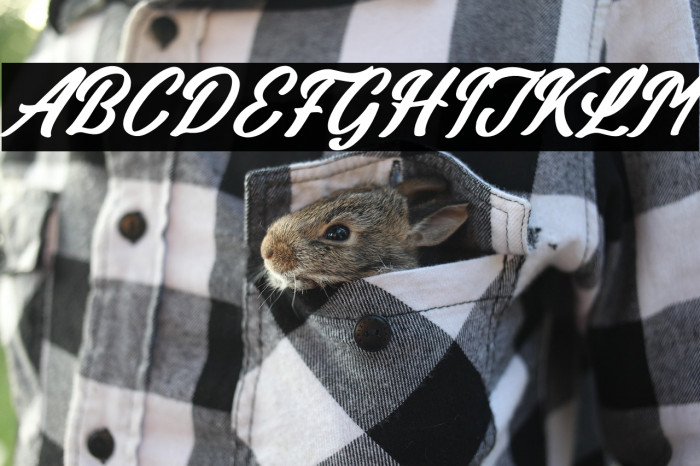 Billionstar Italic Example 3