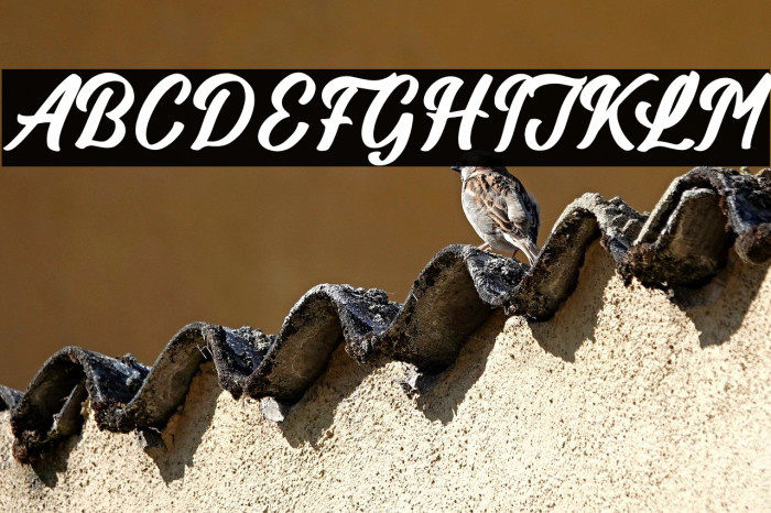 Billionstar Example 2