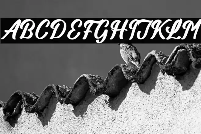 Billionstar Font examples