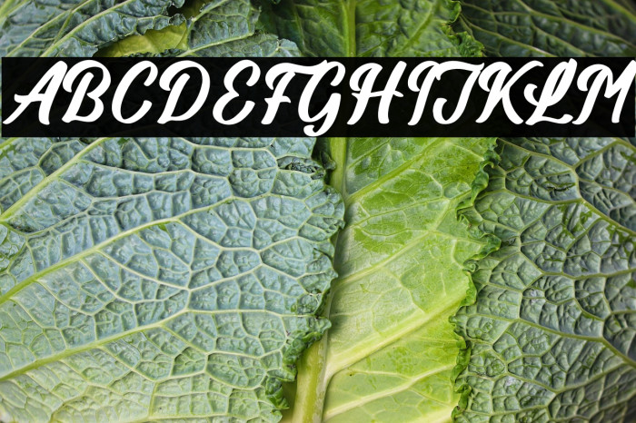 Billionstar Example 3