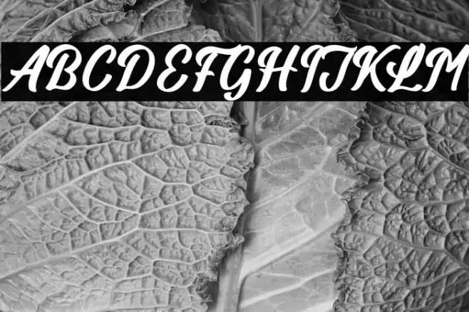 Billionstar Font examples