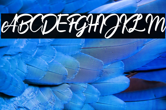 Billionthine Personal Use Only Example 2