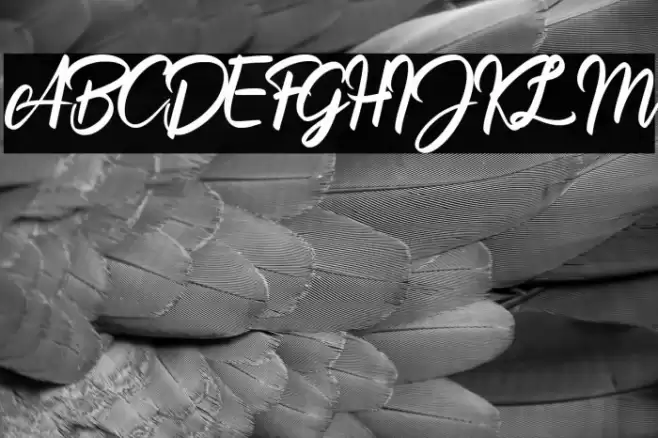 Billionthine Personal Use Only Font examples