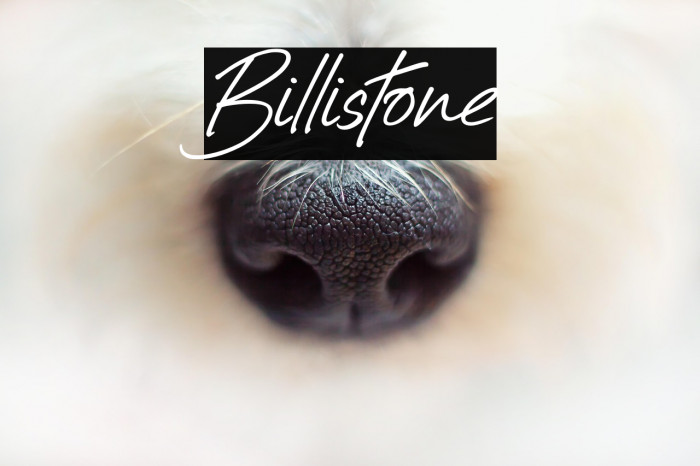 Billistone Example 1