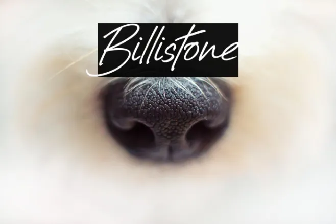 Billistone Example 1