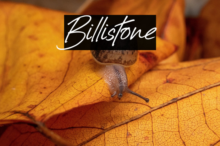 Billistone Example 2