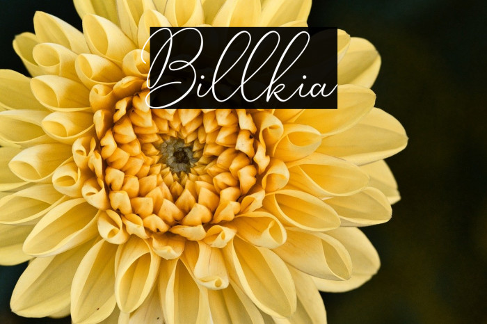 Billkia Example 1