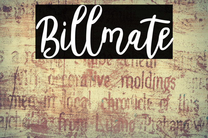 Billmate Example 1