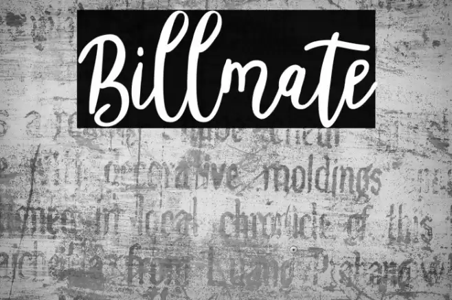 Billmate Font examples