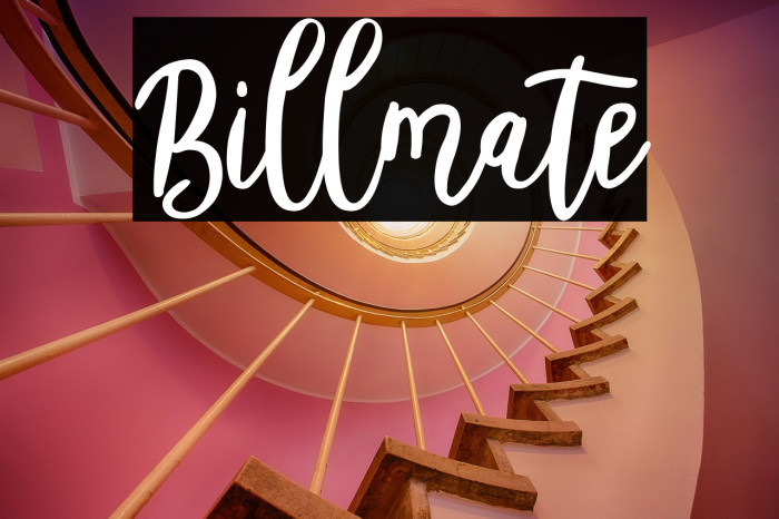 Billmate Example 2
