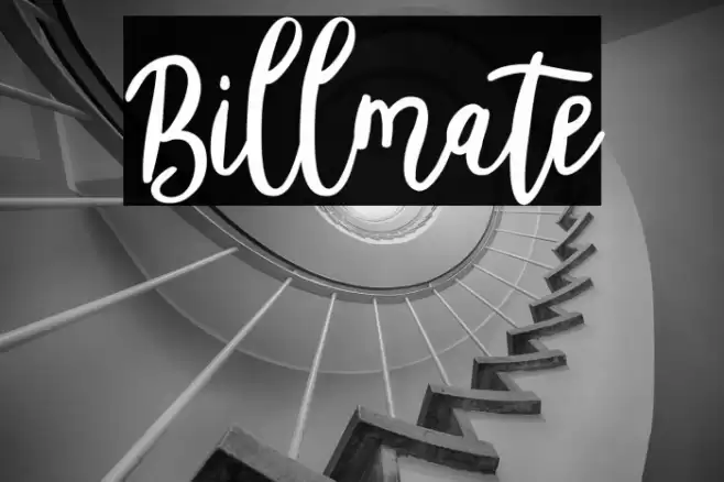 Billmate Font examples