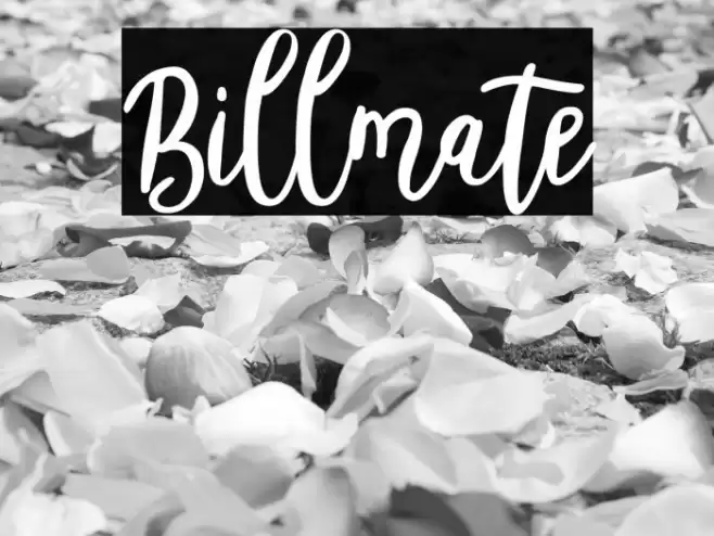 Billmate Font examples
