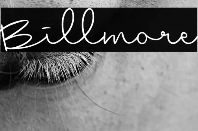 Billmore Font examples