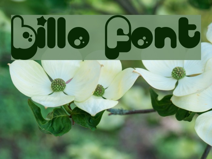 Billo Font examples