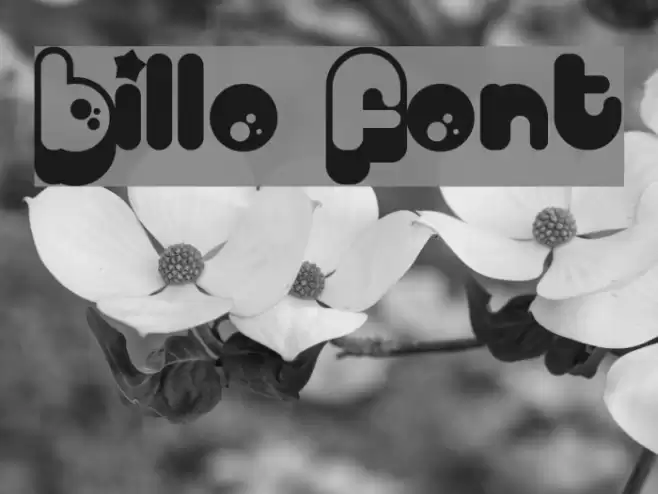 Billo Font examples