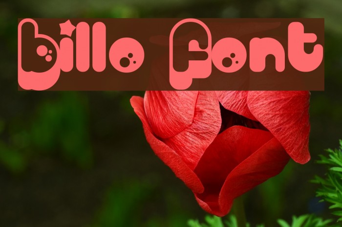 Billo Font examples